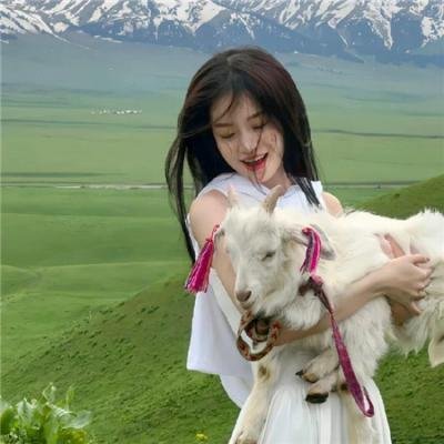 功夫大师